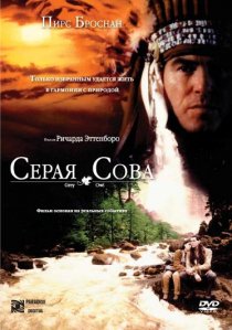 «Серая сова»