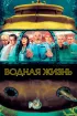 Постер «Водная жизнь»