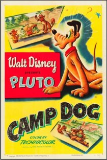 «Camp Dog»