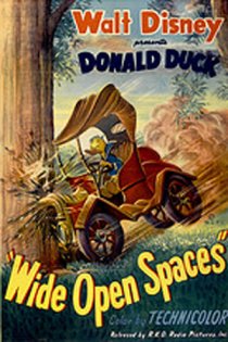 «Wide Open Spaces»
