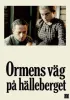 Постер «Змеиная тропа в скалах»