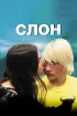 Постер «Слон»