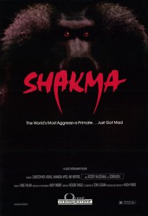 «Шакма»