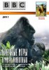 Постер «BBC: Брачные игры в мире животных»