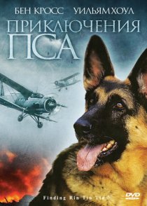«Приключения пса»