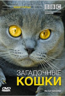 «BBC: Загадочные кошки»