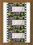 Постер «The Story of Life»