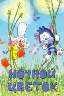 «Ночной цветок»