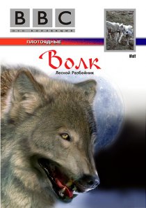 «BBC: Волк»