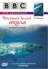 Постер «BBC: Большая белая акула»