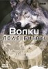 Постер «BBC: Поле битвы: Волки»