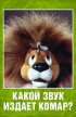 Постер «Какой звук издает комар?»