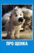 Постер «Про щенка»