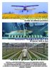 Постер «Хлеб наш насущный»