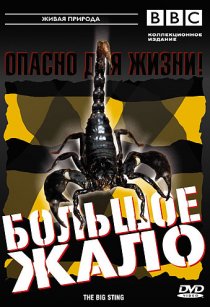 «BBC: Большое жало»