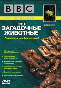 «BBC: Эти загадочные животные»