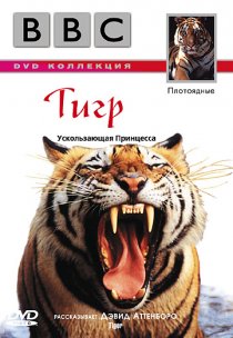 «BBC: Тигр»