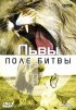 Постер «BBC: Львы. Поле битвы»