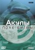 Постер «BBC: Акулы. Поле битвы»