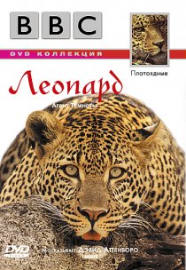 «BBC: Леопард»