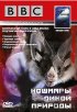Постер «BBC: Кошмары дикой природы»