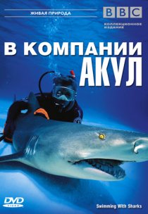 «BBC: В компании акул»