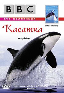 «BBC: Касатка»