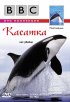 Постер «BBC: Касатка»