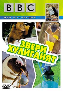 «BBC: Звери хулиганят»