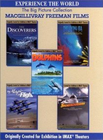 «Dolphins: The Ride»