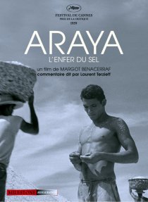 «Арайа»