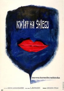 «Цветок на снегу»