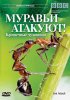 Постер «BBC: Муравьи атакуют»