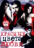 Постер «Красные цвета любви»