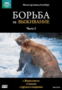 «BBC: Борьба за выживание»