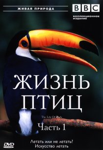 «BBC: Жизнь птиц»