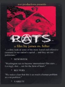 «Rats»