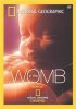 Постер «Life Before Birth»