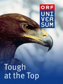 «Tough at the Top»