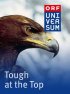 Постер «Tough at the Top»
