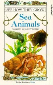 «See How They Grow: Sea Animals»