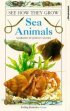 Постер «See How They Grow: Sea Animals»