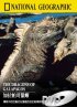 Постер «Галапагосские драконы»