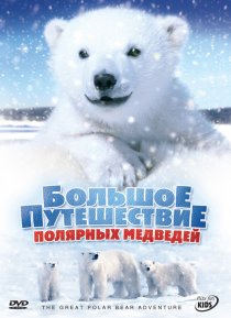 «Большое путешествие полярных медведей»