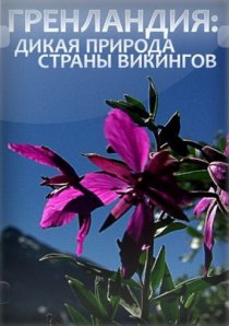 «Гренландия: Дикая природа страны викингов»