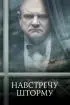 Постер «Навстречу шторму»