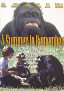 «A Summer to Remember»
