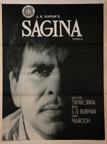 «Sagina»