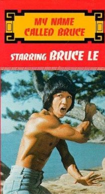 «Pi li long quan»