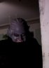Постер «Nosferatu's Crush»